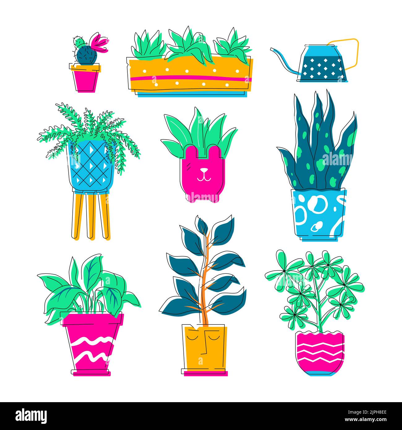 Aglaonema plant in pot Stock Vector Images Alamy