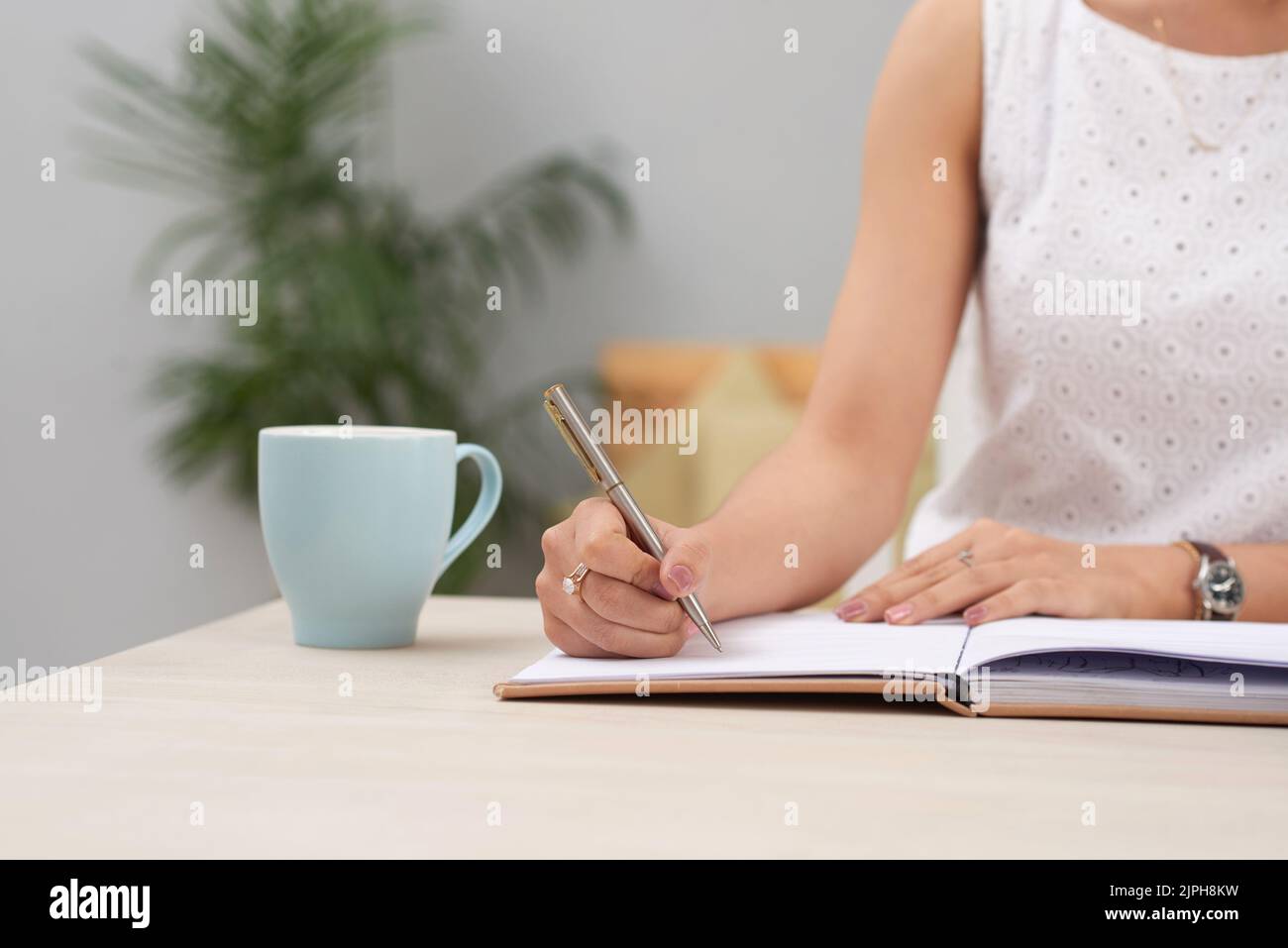 Cropped image of business lady writing plans in her notepad Stock Photo