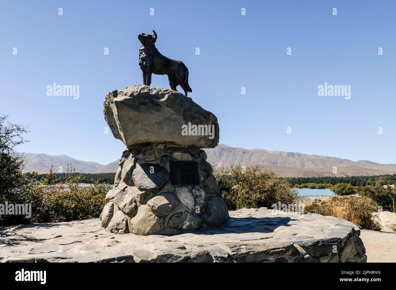 A bronze statue of a sheep dog, (a collie), on the shore of Lake Tekapo