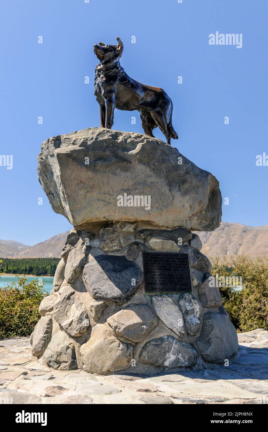 A bronze statue of a sheep dog, (a collie), on the shore of Lake Tekapo