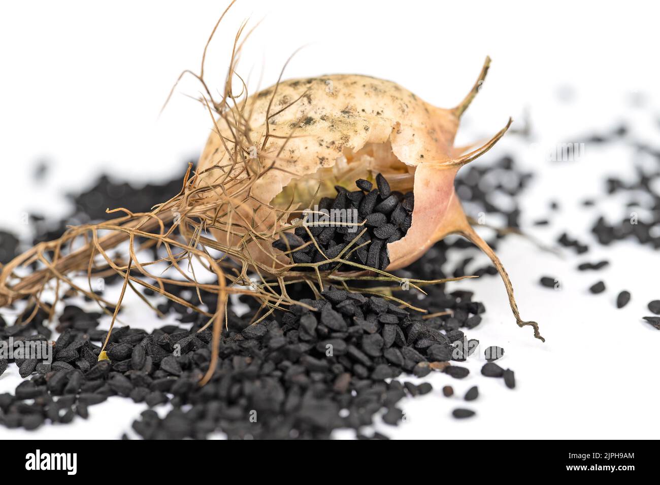 Black cumin seeds, Nigella sativa Stock Photo