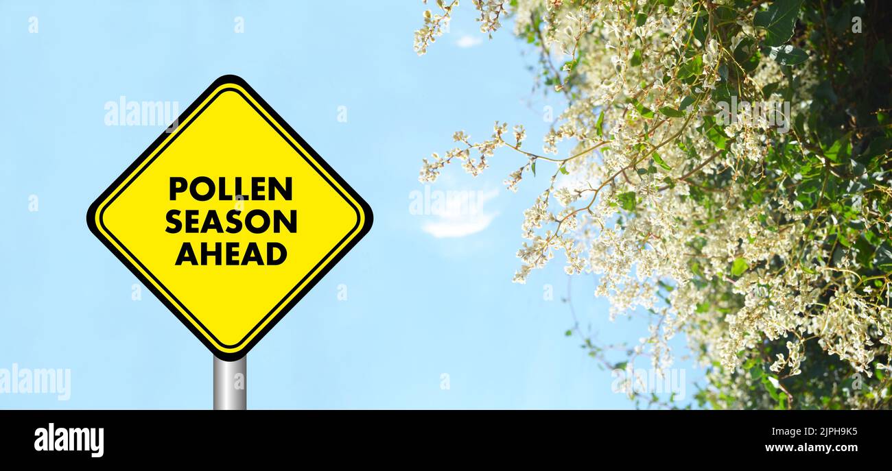 Yellow allergy season ahead sign Stock Photo - Alamy