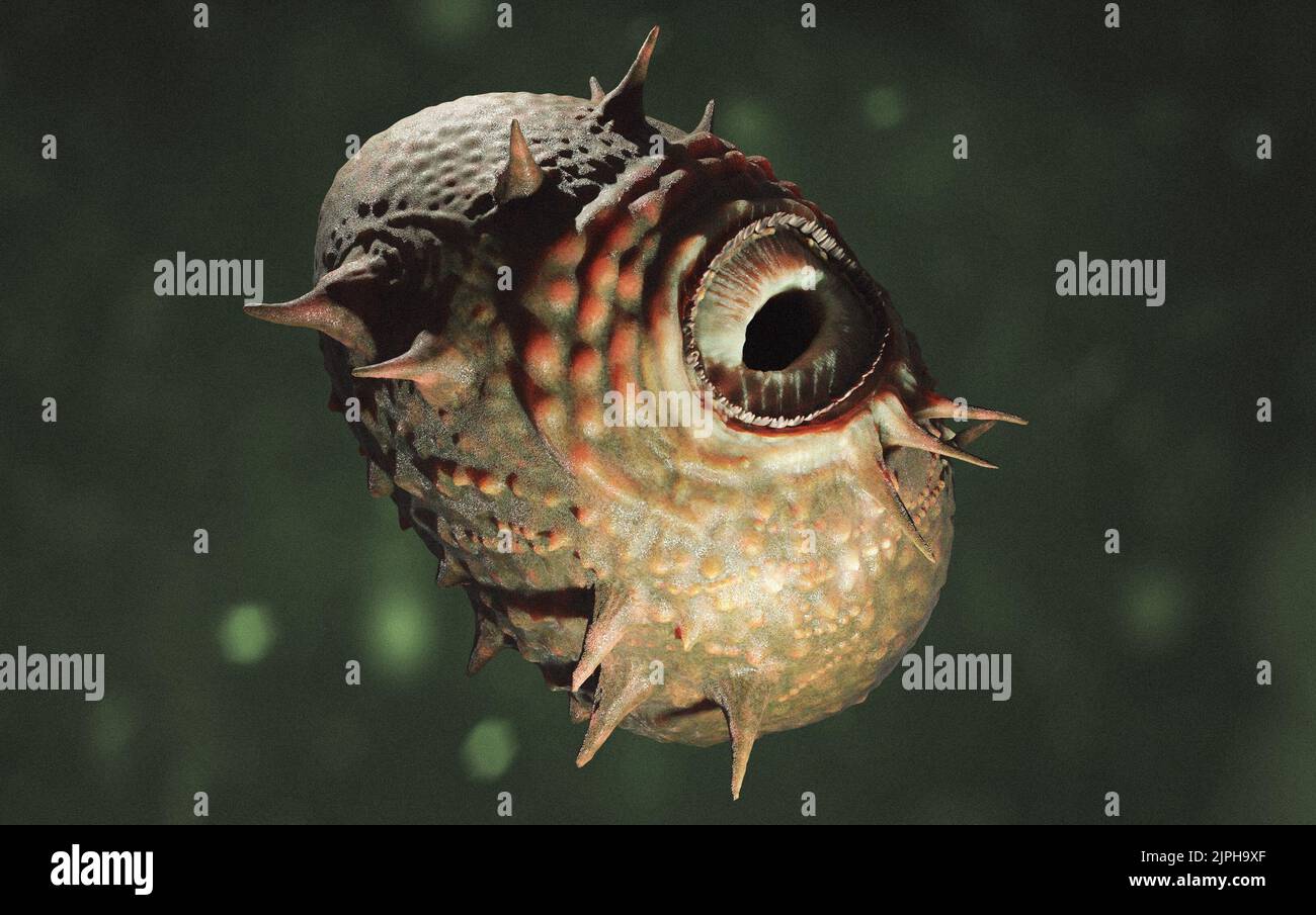 Reconstruction of Saccorhytus coronarius, from a fossil believed to be a deuterostome human ancestral found in China Stock Photo