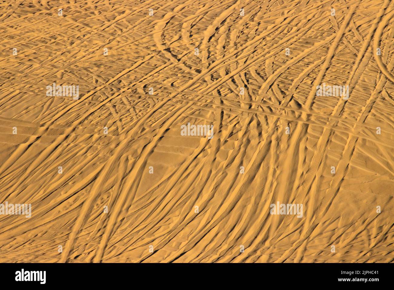 ATV tracks in sand dunes, Oregon Dunes National Recreation Area, Siuslaw National Forest, Oregon Stock Photo