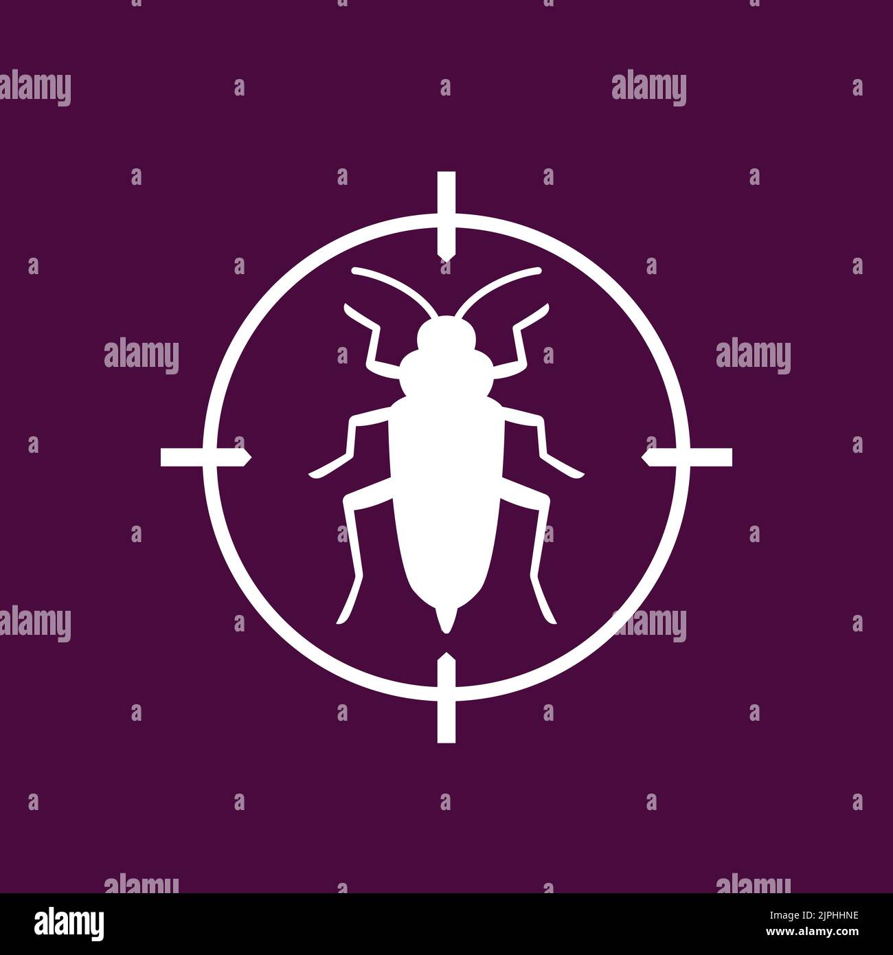 Woodboring beetle Stock Vector Images Alamy