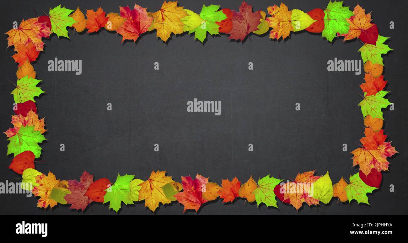 Orange autumn leaves animated background hi-res stock photography and ...