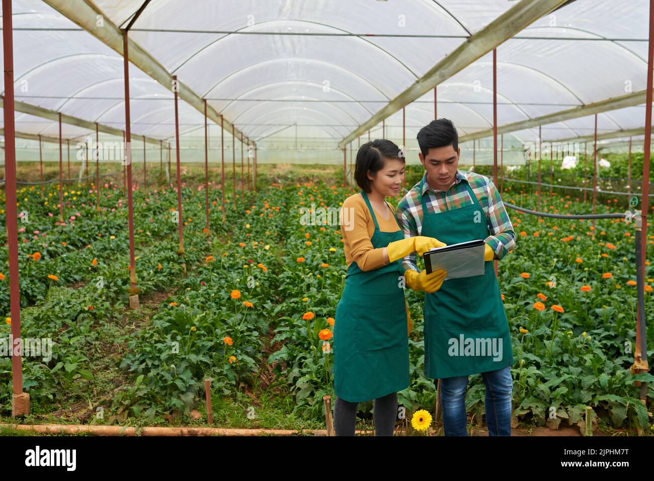 Asian employee discussing woman hi-res stock photography and images - Alamy
