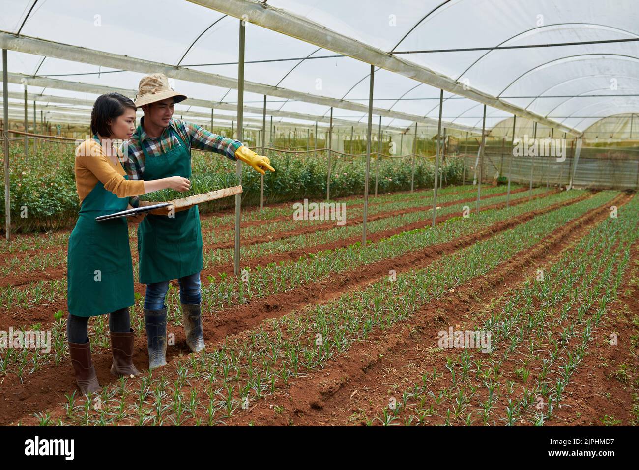 Couple gardeners hi-res stock photography and images - Alamy