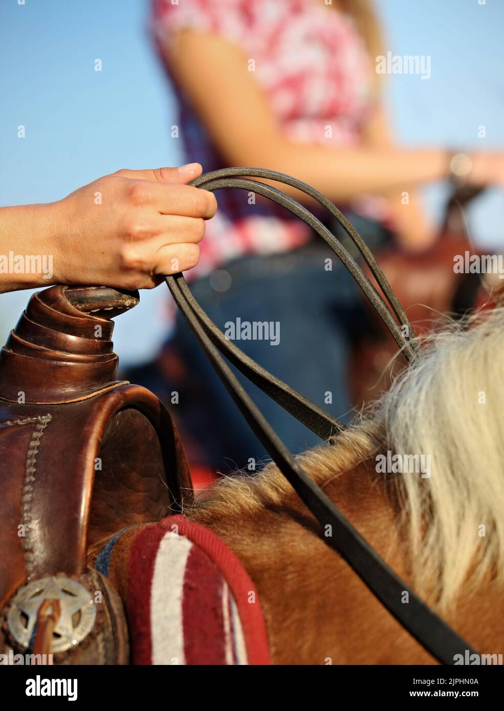 Hands holding reins hires stock photography and images Alamy