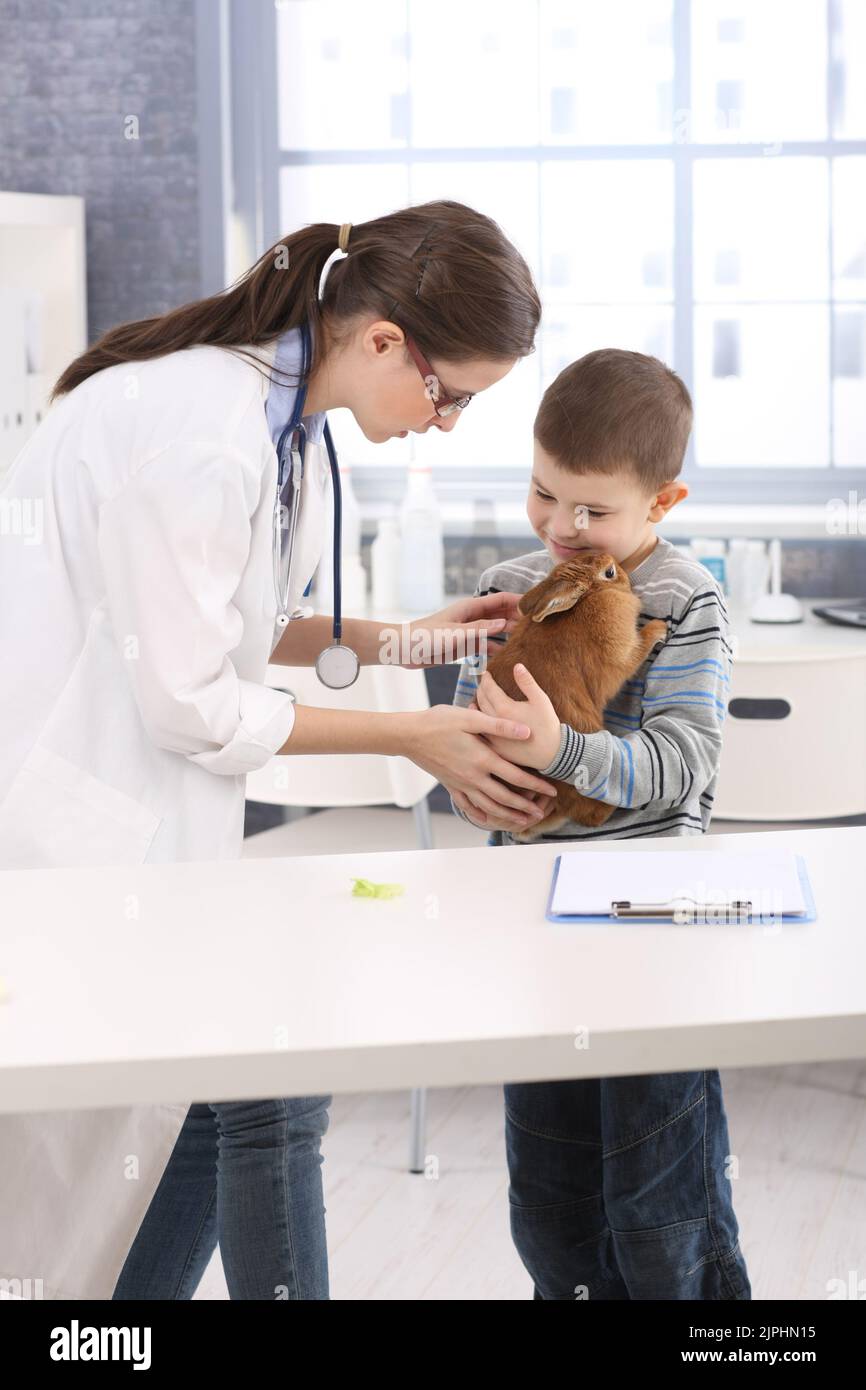 Baby Rabbit Vet Adult baby rabbits hi-res stock photography and images - Alamy