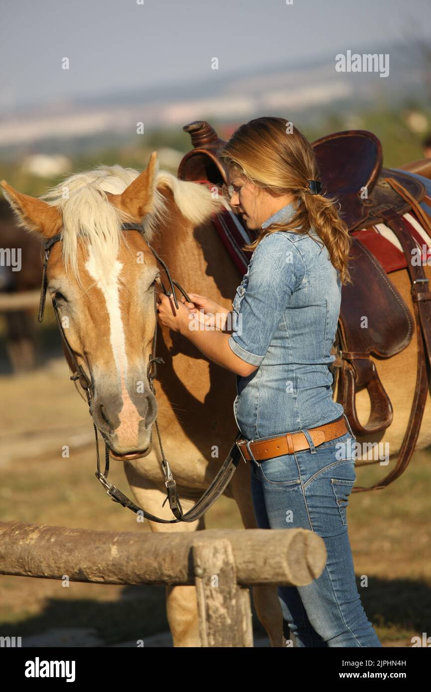 horse, bridles, dock, horsewoman, horses, harness, docks, homonym, horsewomen, rider Stock Photo