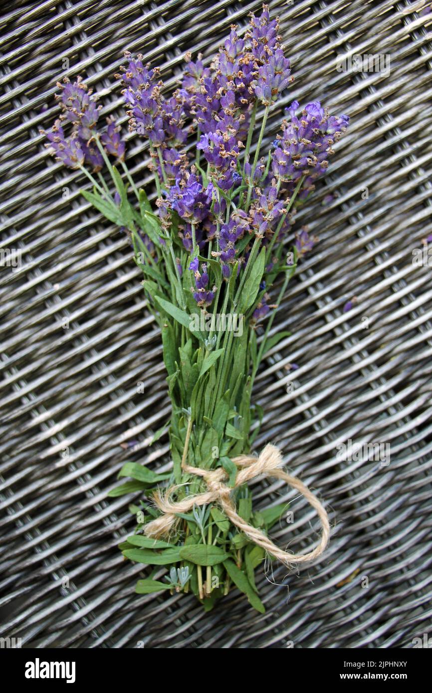 Bunch of fresh lavender flowers on wicker desk background. Stock Photo
