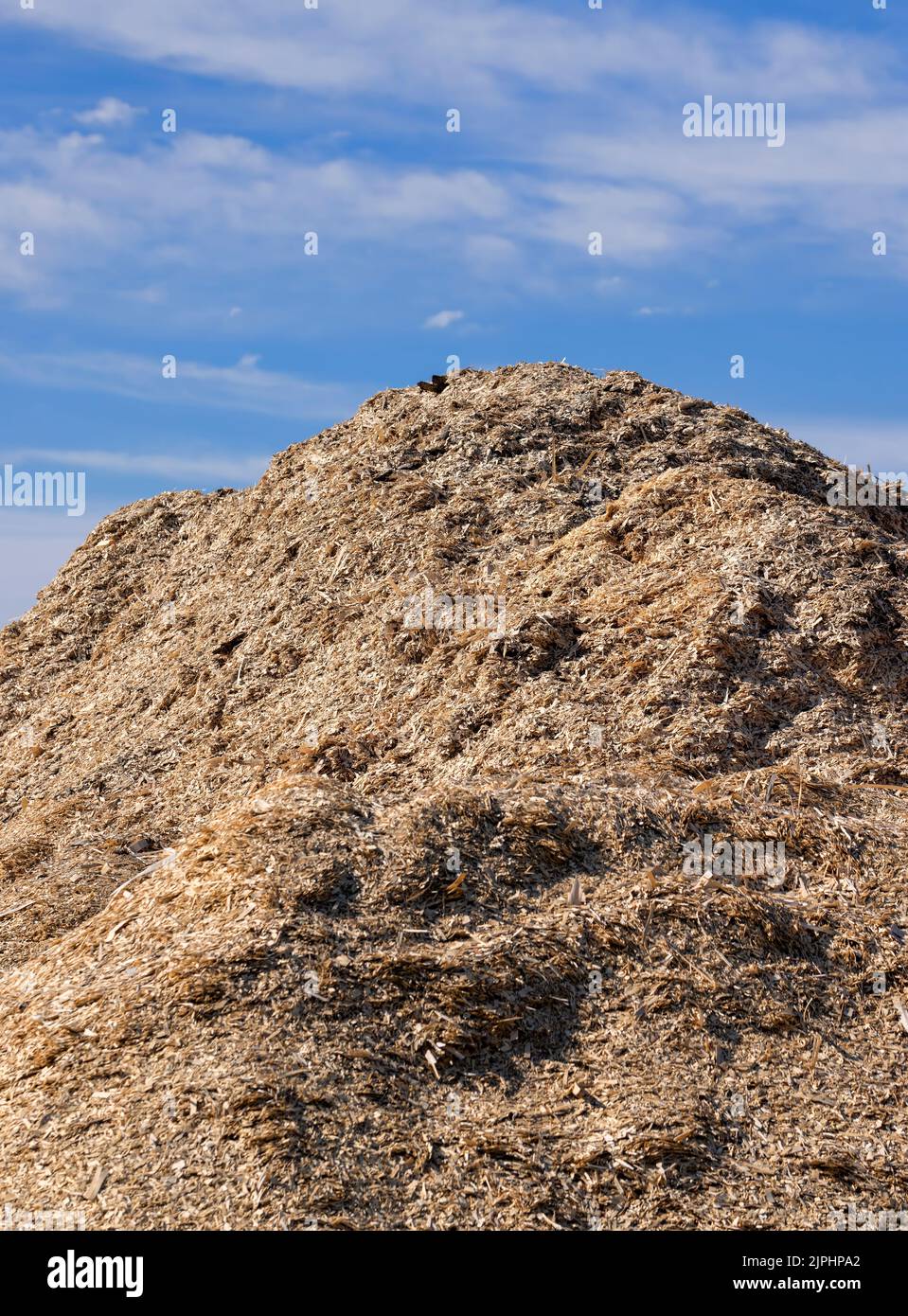 A large pile of sawdust from wood after wood processing, waste from