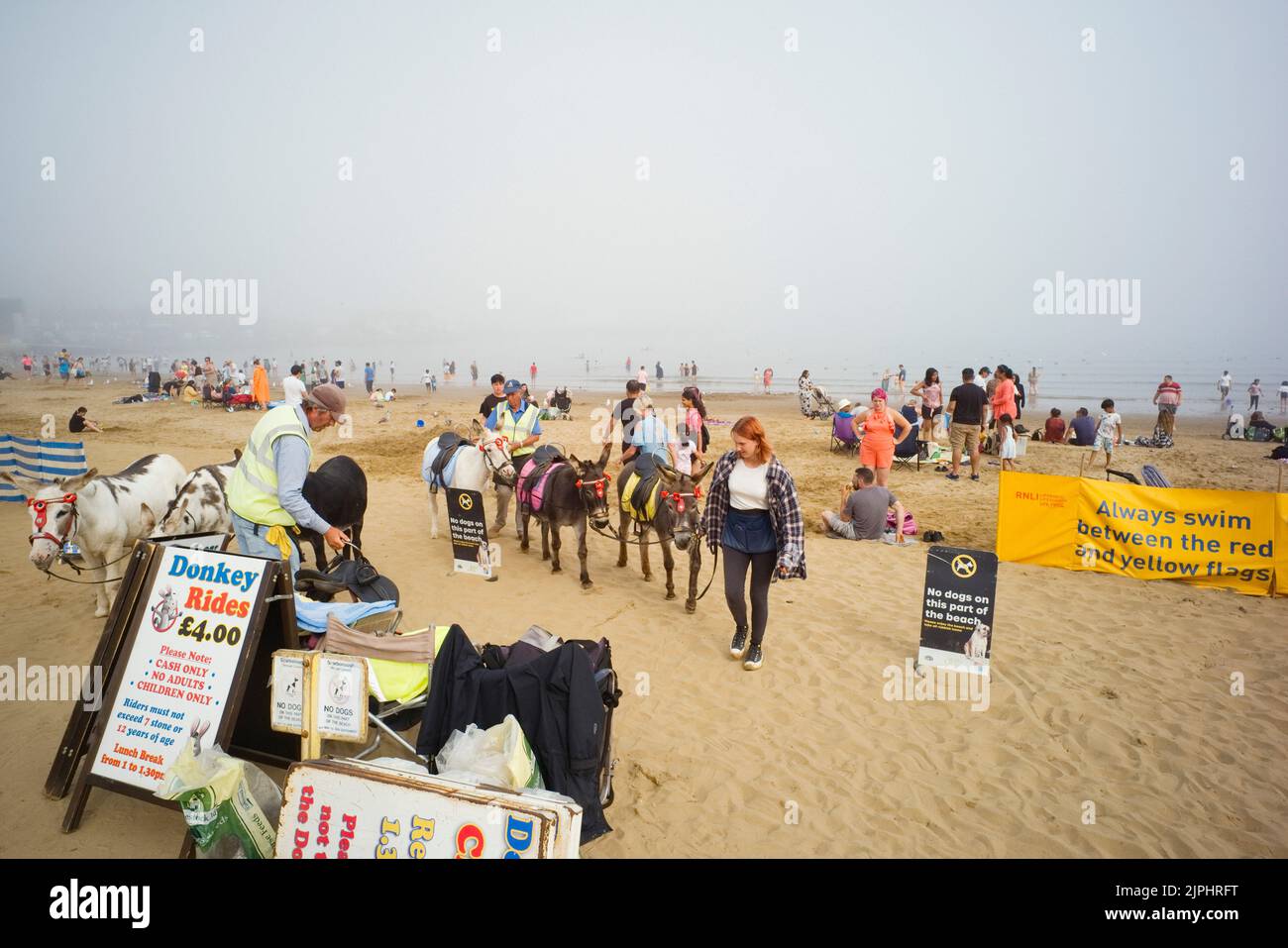 At the end of a busy summer weekend the donkeys come off the beach at Scarborough Stock Photo