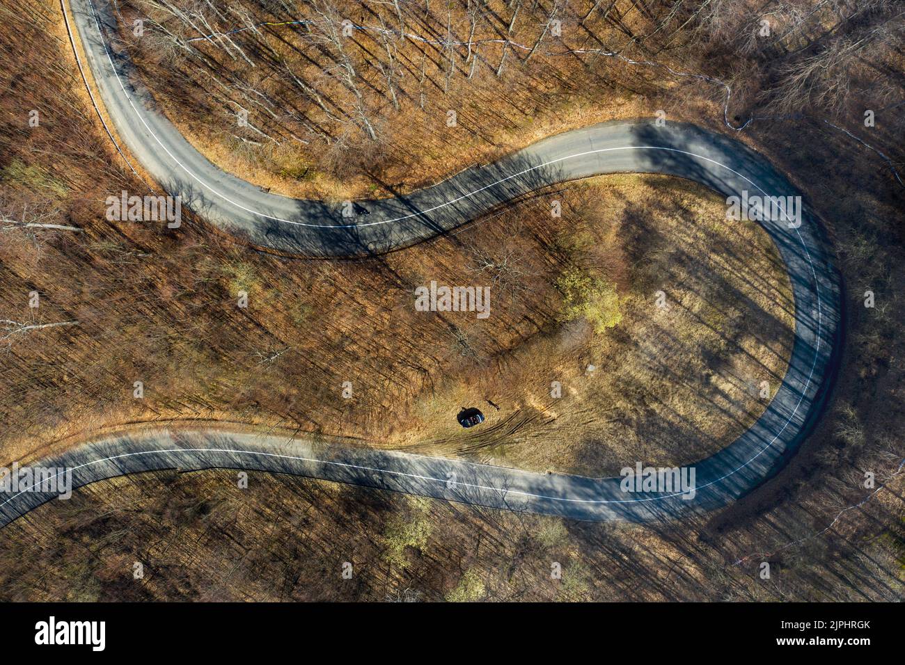 deforestation, deadwood, road, curved, drohnenflug, deforestations, deadwoods, roads, street, streets, curveds Stock Photo