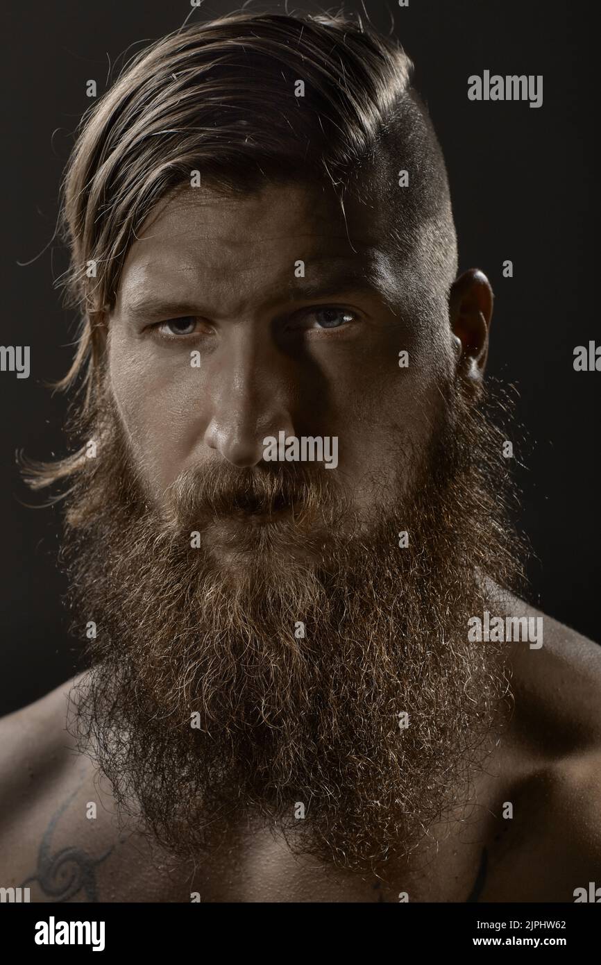 man, serious, bearded, guy, men, beardeds Stock Photo