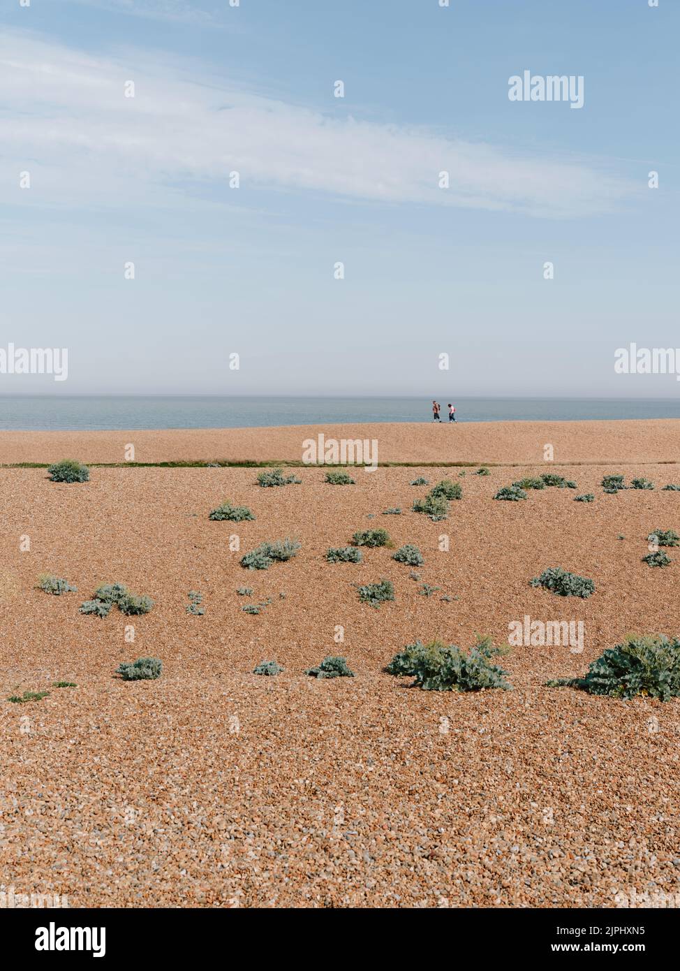 Walking along the summer beach landscape of Shingle Street Suffolk England UK Stock Photo Alamy