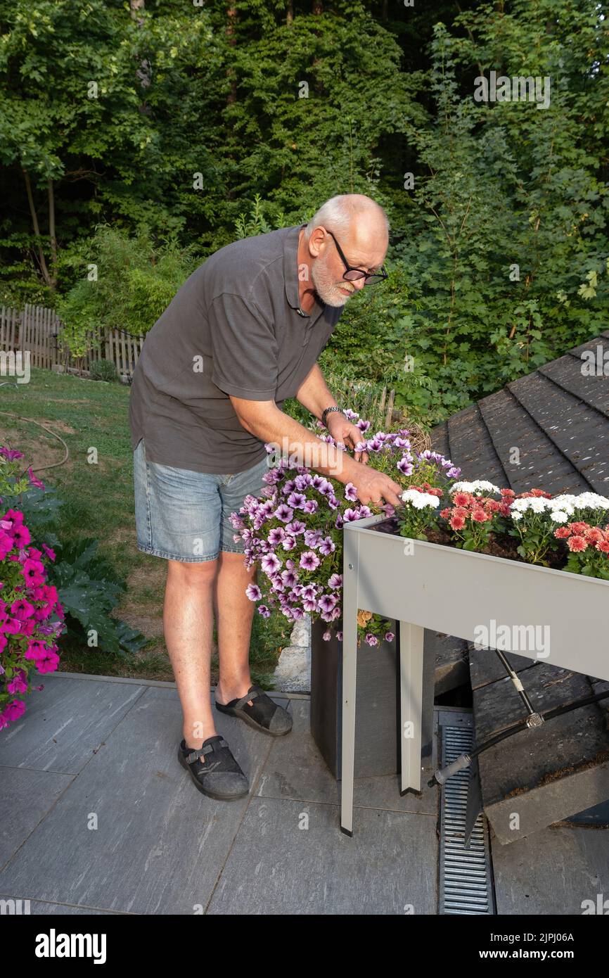 Very old man gardening hi-res stock photography and images - Alamy