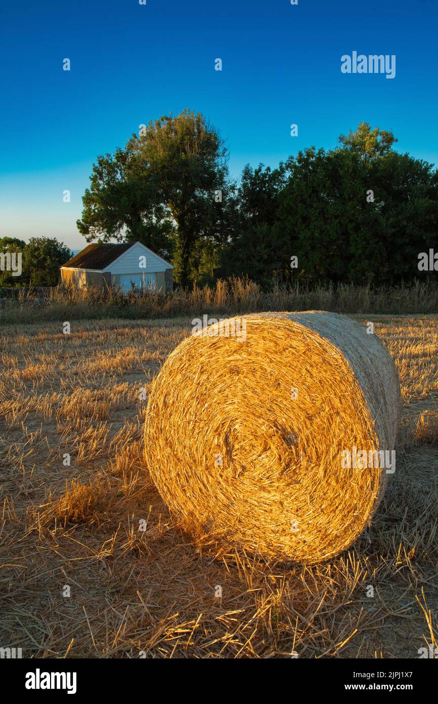 Harvested agricultural field in East Devon, UK Stock Photo