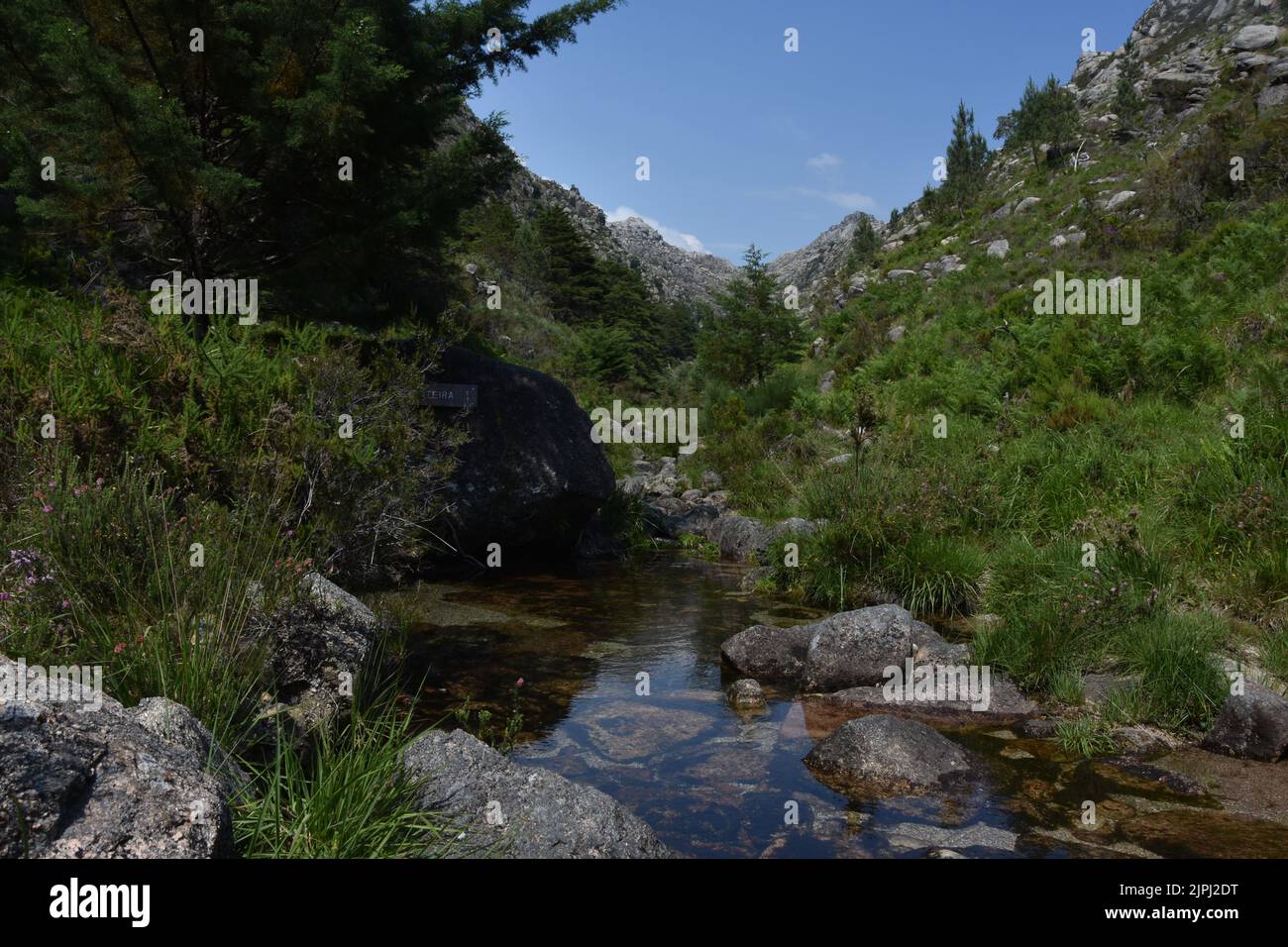 River Surrounded By Rocks A small river surrounded by rocks and plants Stock Photo - Alamy