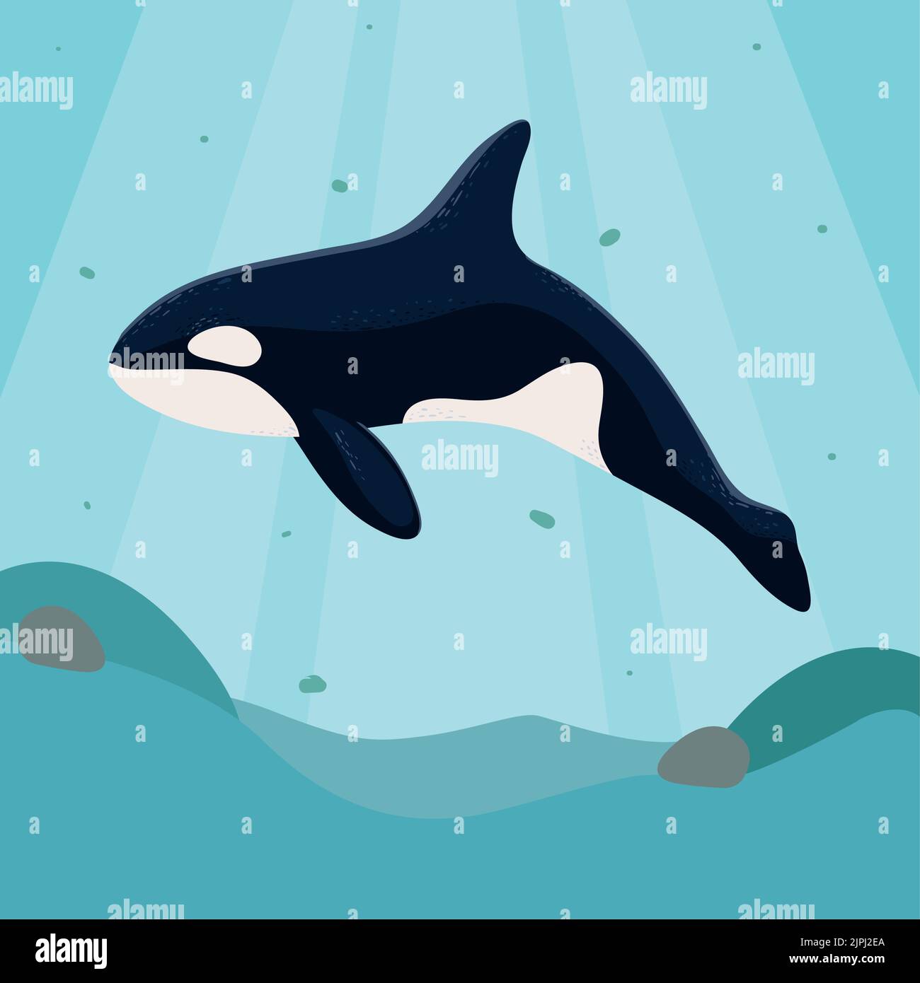 orca whale sea life Stock Vector Image & Art - Alamy