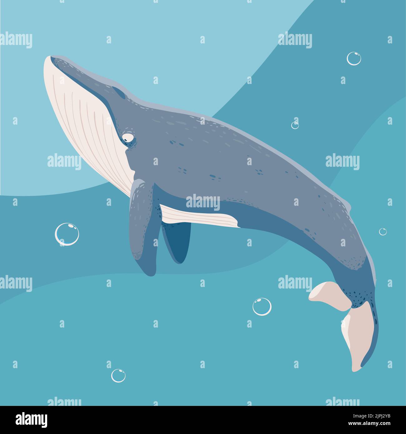 blue whale sea Stock Vector Image & Art - Alamy