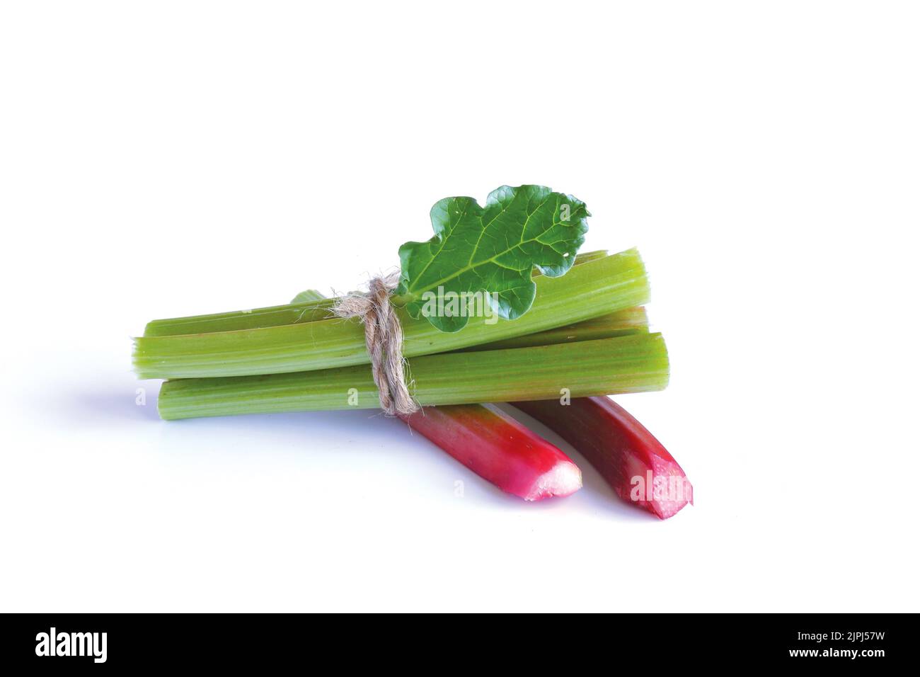 Red and green rhubarb stalks with a green leaf, tied with twine on a white background. Stock Photo