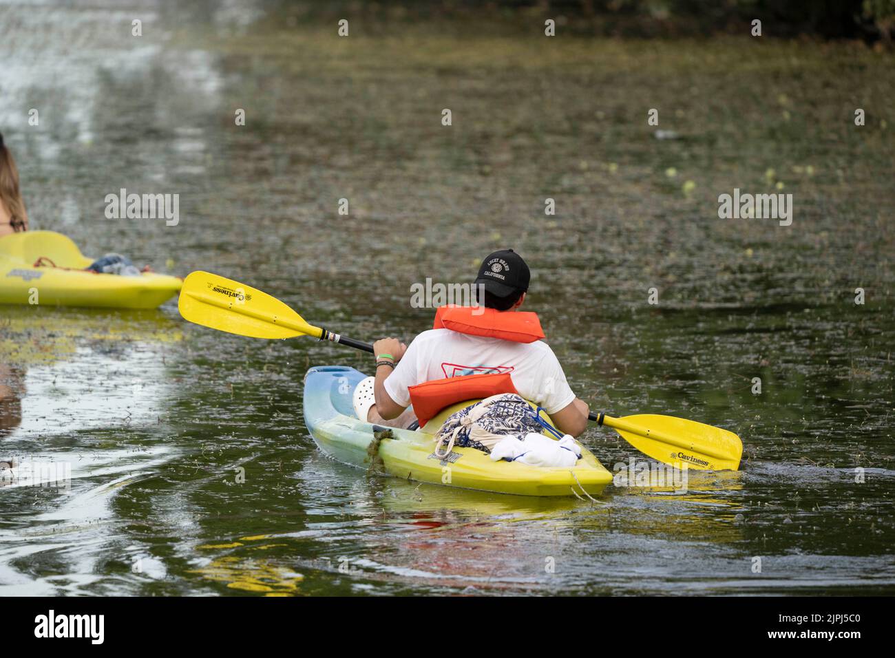 Austin Texas USA, August 14 2022: A man wearing a life vest navigates through aquatic plants on Lady Bird Lake near downtown on a hot August evening. ©Bob Daemmrich Stock Photo