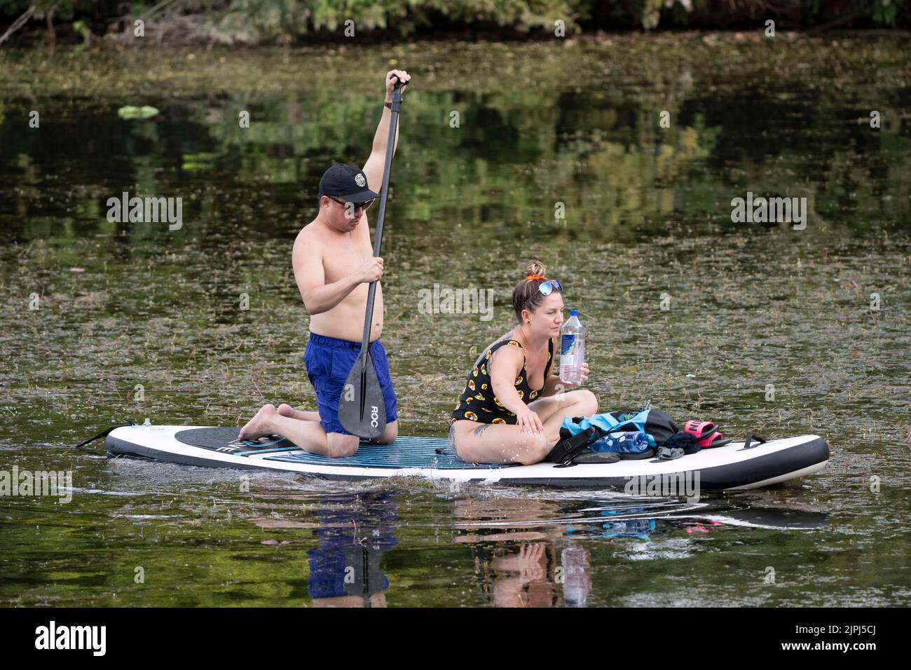 Austin Texas USA, August 14 2022: A couple on a stand up paddleboard navigates through aquatic plants on Lady Bird Lake near downtown on a hot August evening. ©Bob Daemmrich Stock Photo