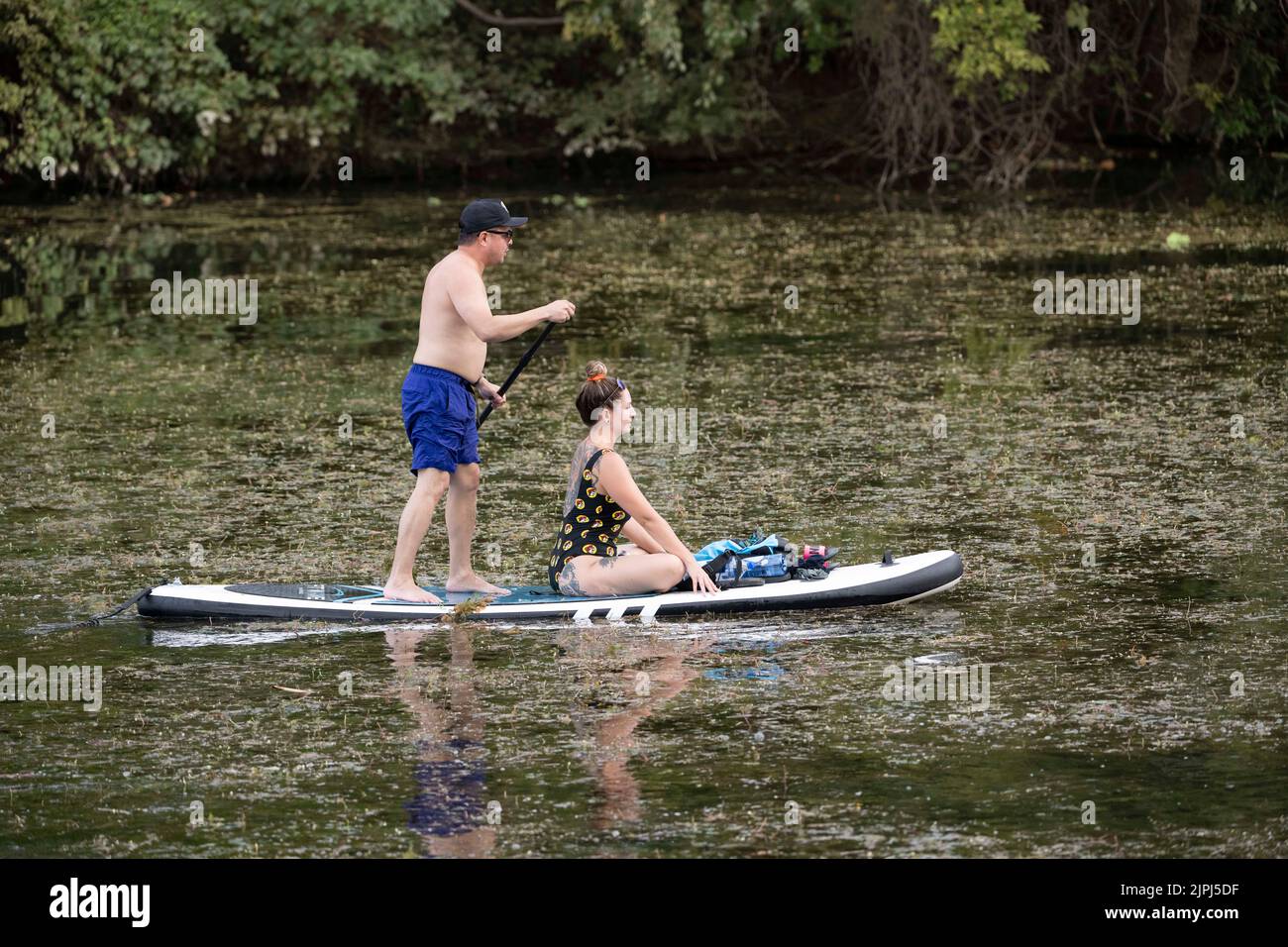Austin Texas USA, August 14 2022: A couple on a stand up paddleboard navigates through aquatic plants on Lady Bird Lake near downtown on a hot August evening. ©Bob Daemmrich Stock Photo