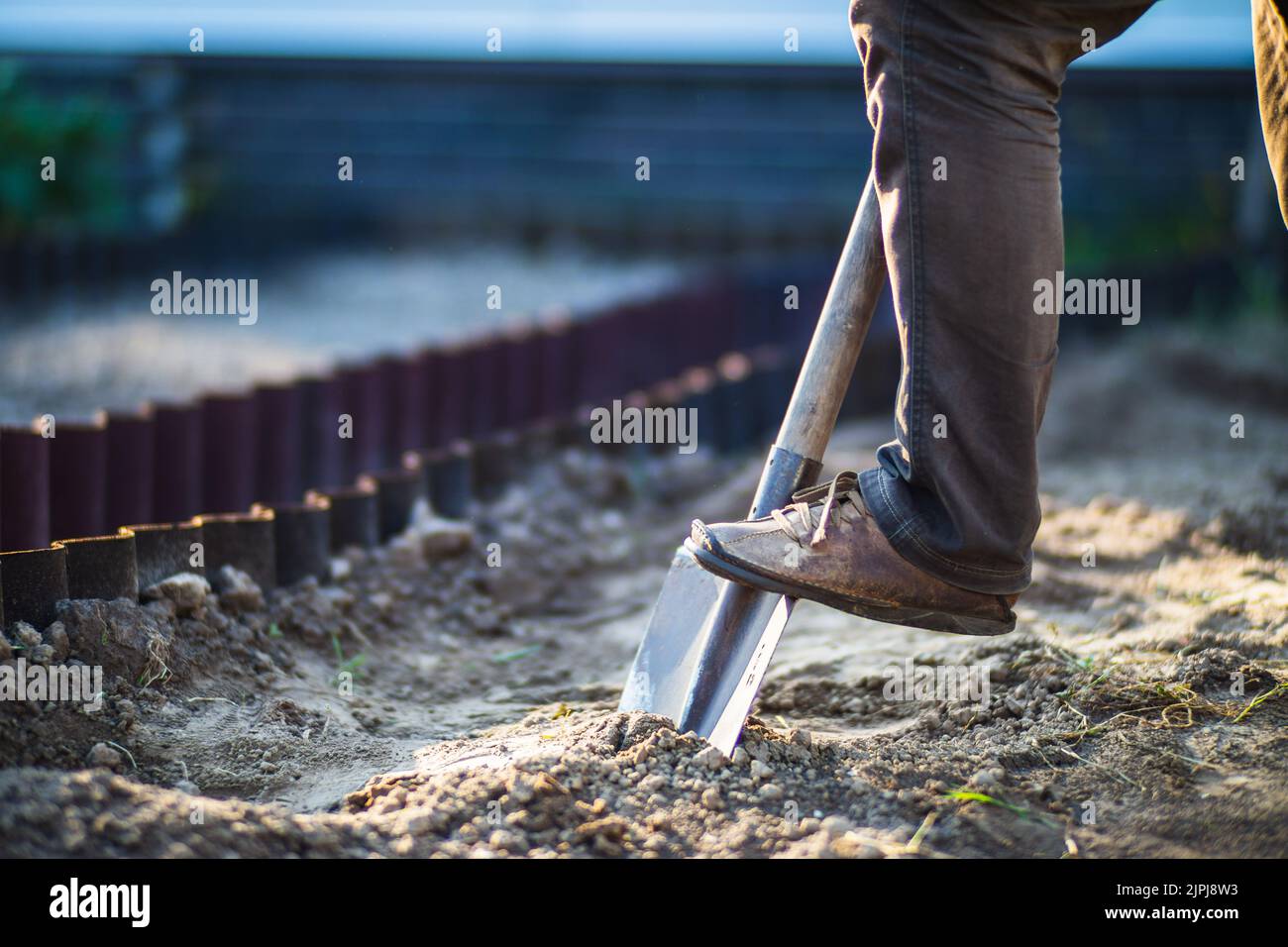 The farmer digs the soil in the vegetable garden. Preparing the soil
