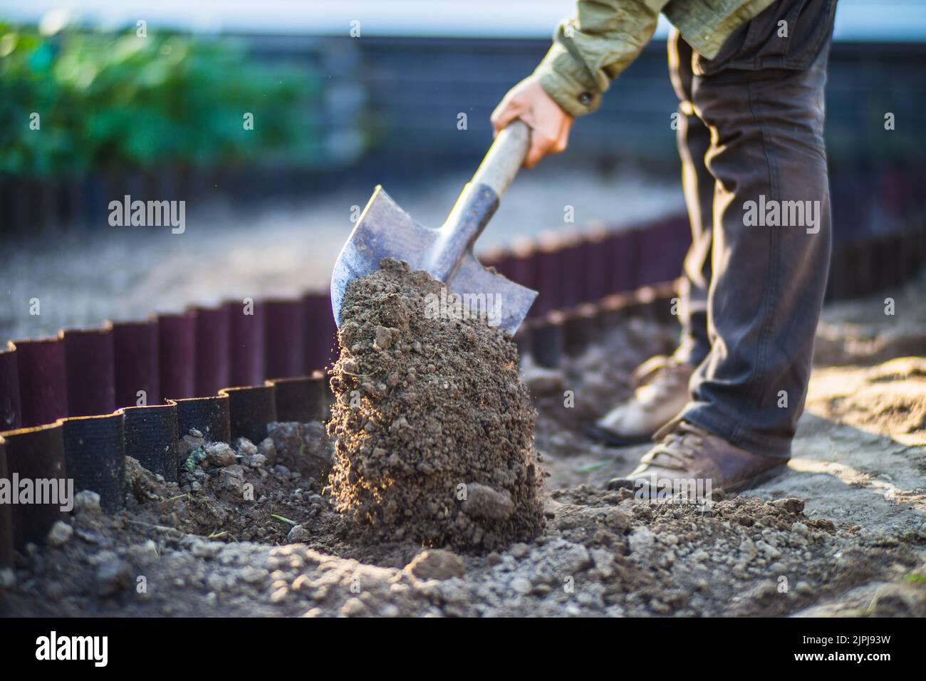The farmer digs the soil in the vegetable garden. Preparing the soil