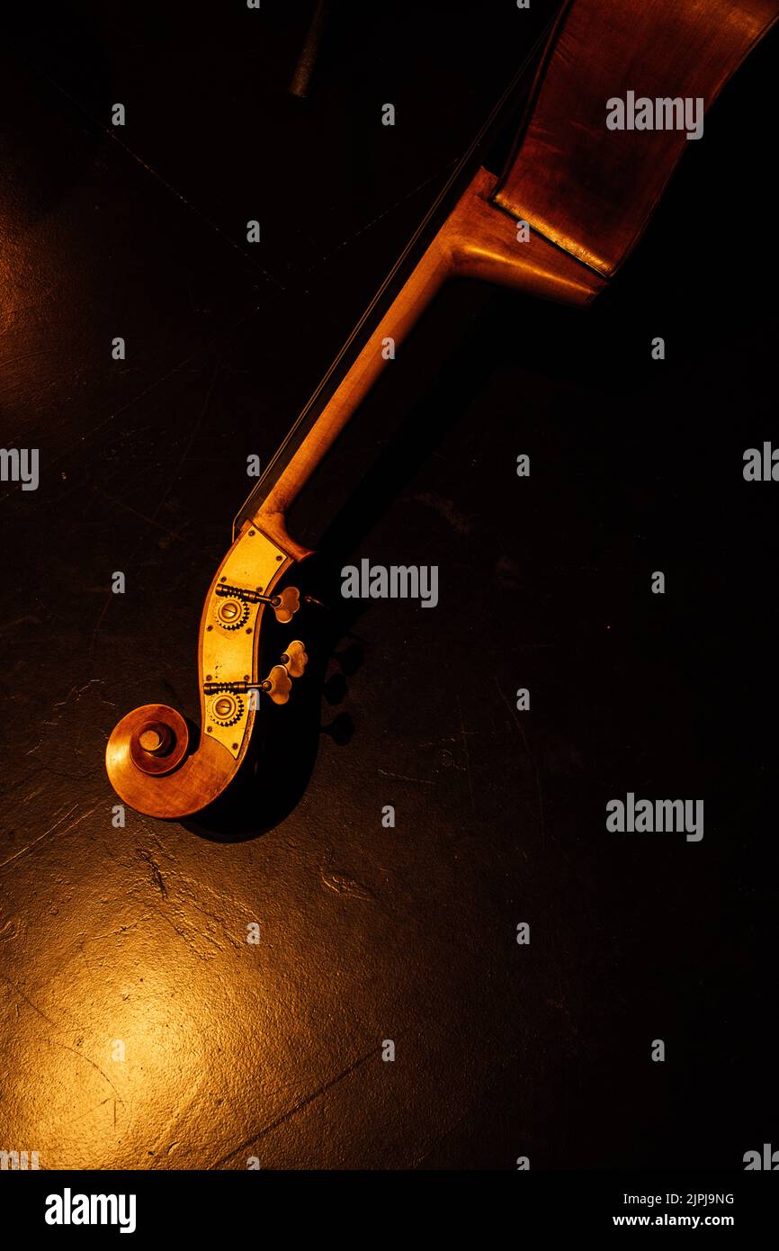 headstock, scroll of upright bass instrument Stock Photo Alamy
