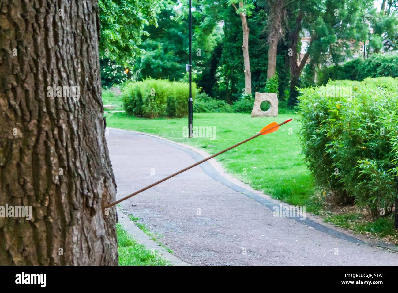 An arrow embedded in the trunk of a tree in a Hillside Park, a green space in Islington, London, UK Stock Photo