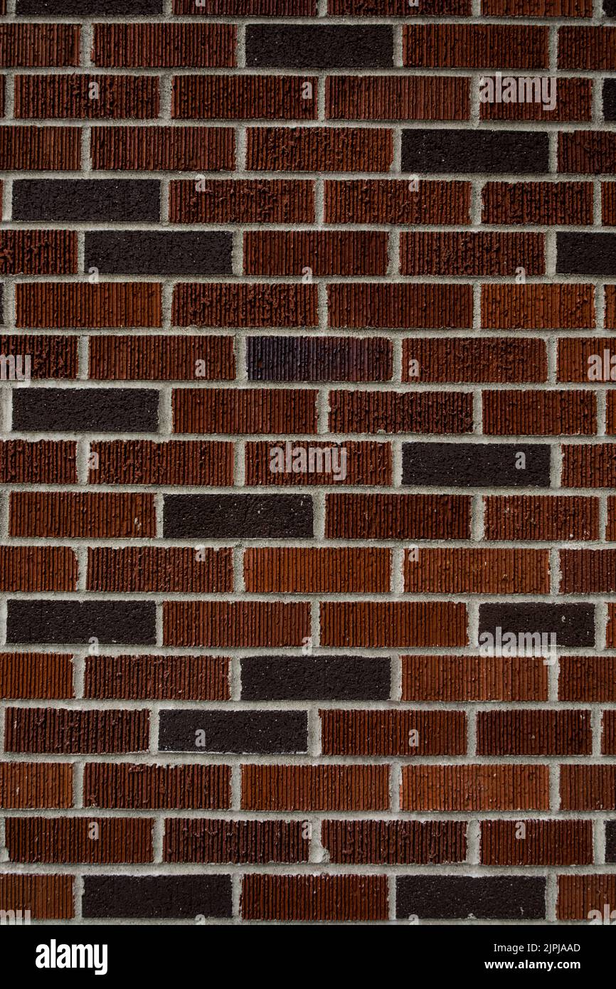 multicolor brick wall background texture Stock Photo