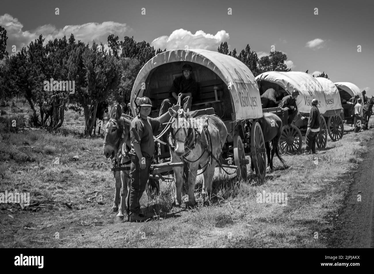 male juvenile traveling on covered wagons drawn by mules over the