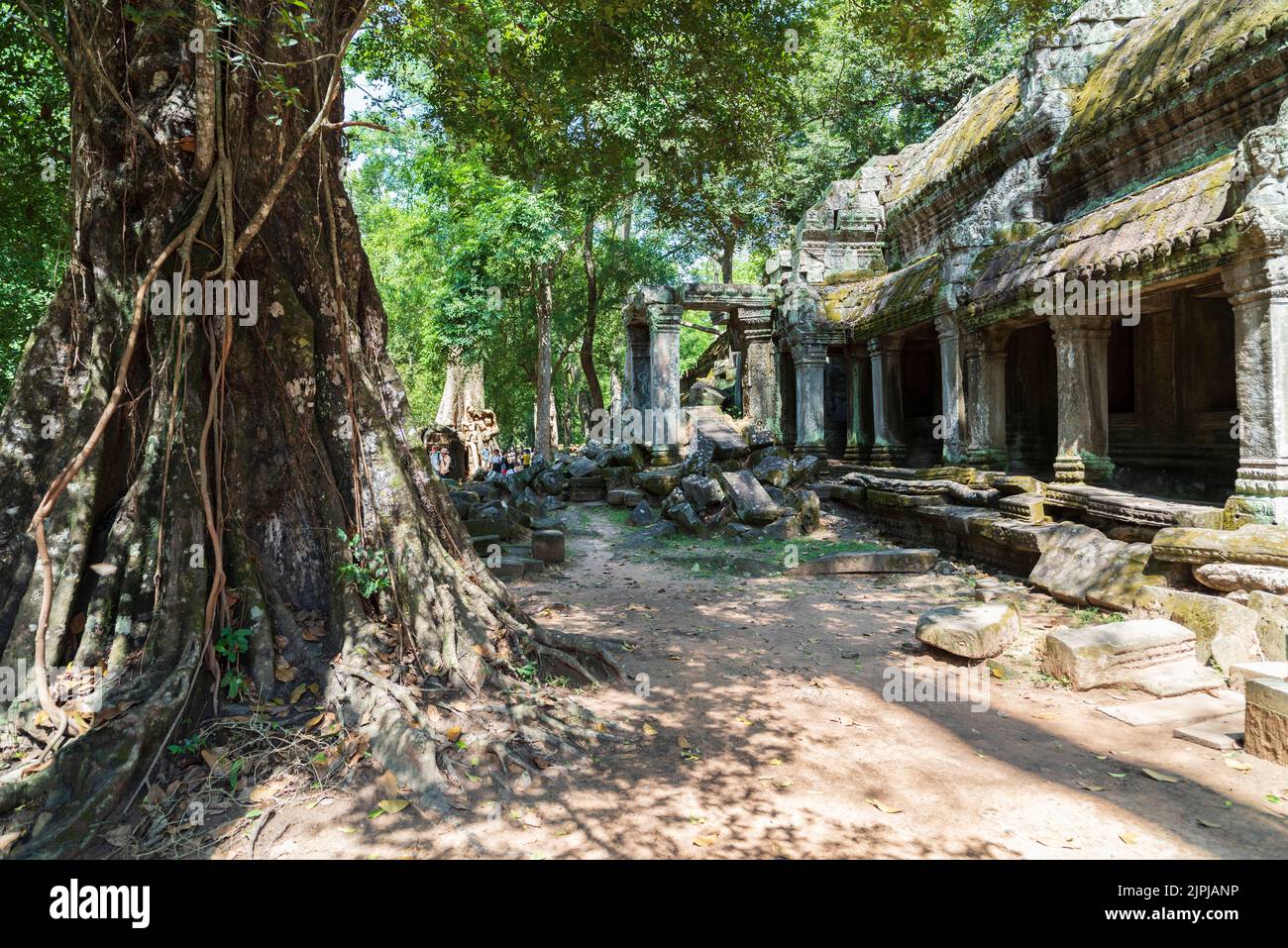 Angkor Wat Temple Complex. Siem Reap City is a historical touristy place in Cambodia. Visitors touring the temples. Stock Photo