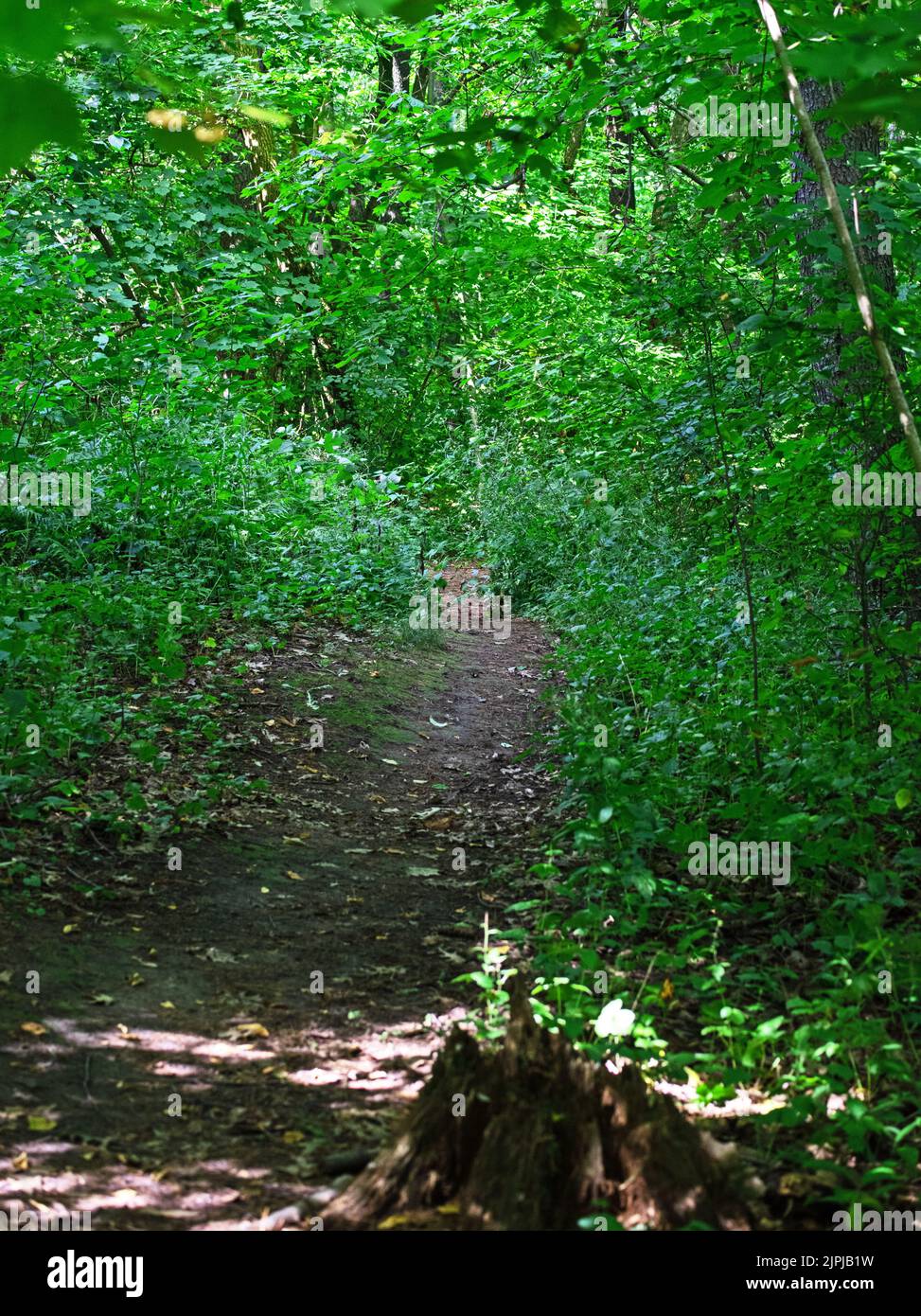 Hobbits Path Stock Photo