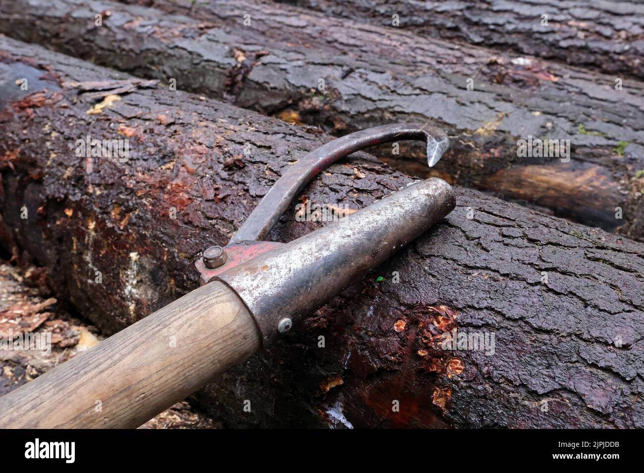 tool, forestry, stammwender, tools, forestries Stock Photo Alamy