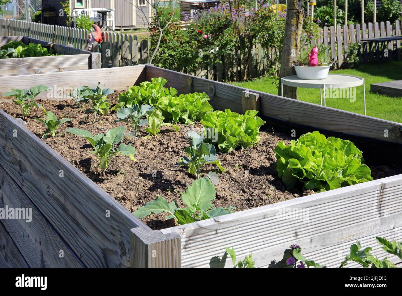 vegetable, outbuilding, raised bed, vegetables, outbuildings, raised