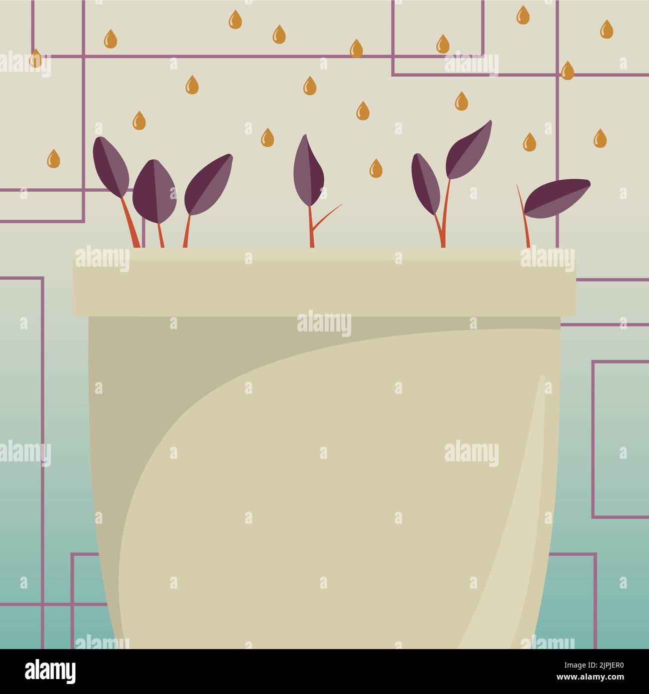 Flower Vase With Herbs Watered By Drops From Top. Liquid Being Poured