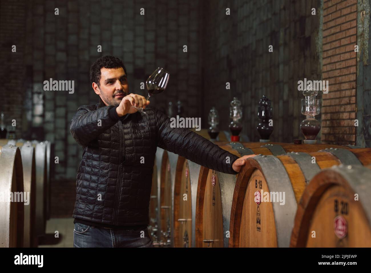 Man tasting red wine in a winery barrel cellar, holding a wine glass, swirling it, smelling, and sipping wine, delighted with wine taste and flavor. Stock Photo