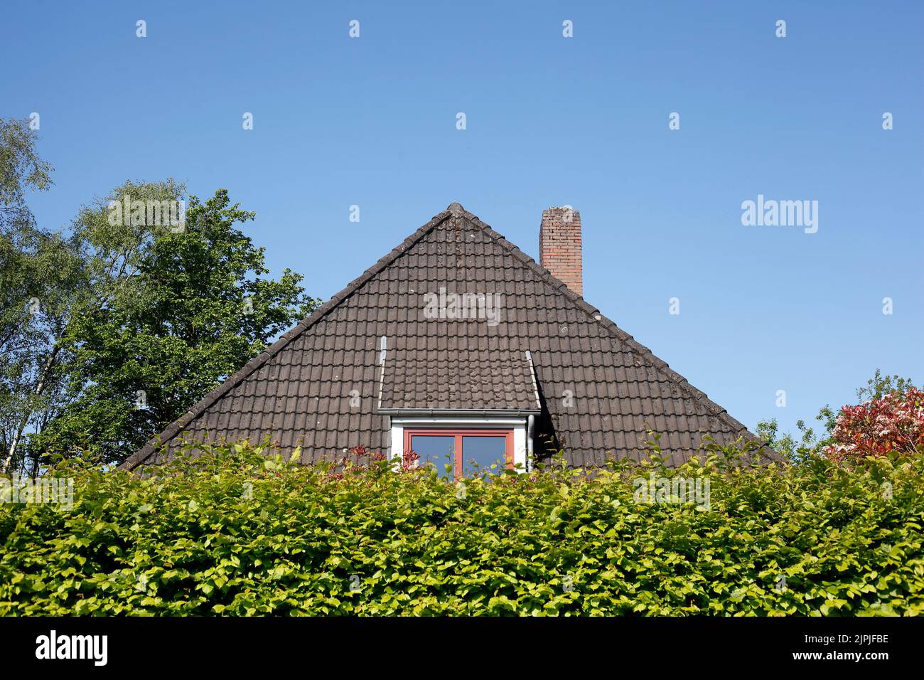 hedge, detached house, house roof, einfamilenhaus, hedges, detached houses, house roofs Stock Photo