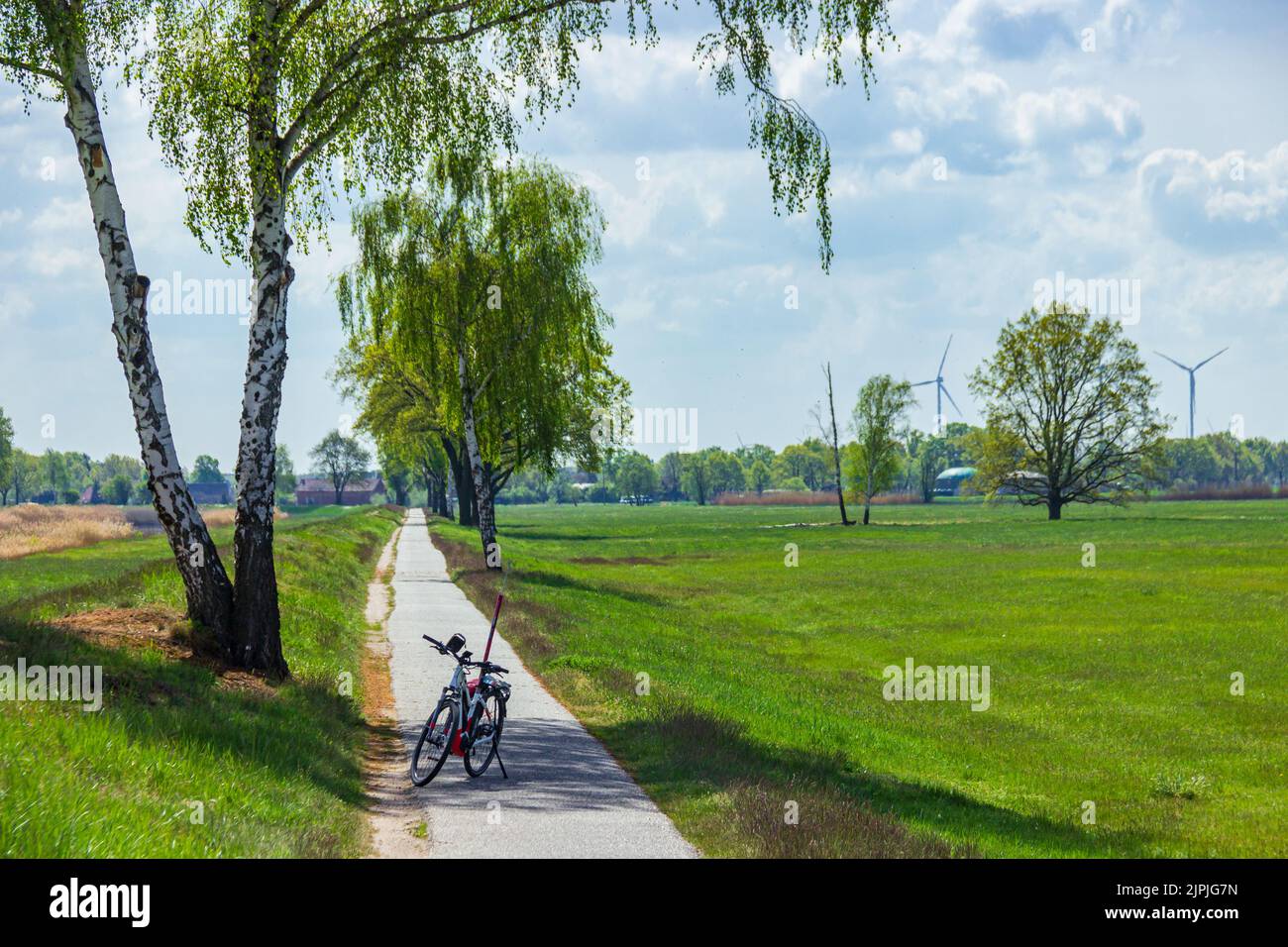 bicycle, bicycle lane, landkreis elbe-elster, bicycles, bike, bicycle lanes Stock Photo