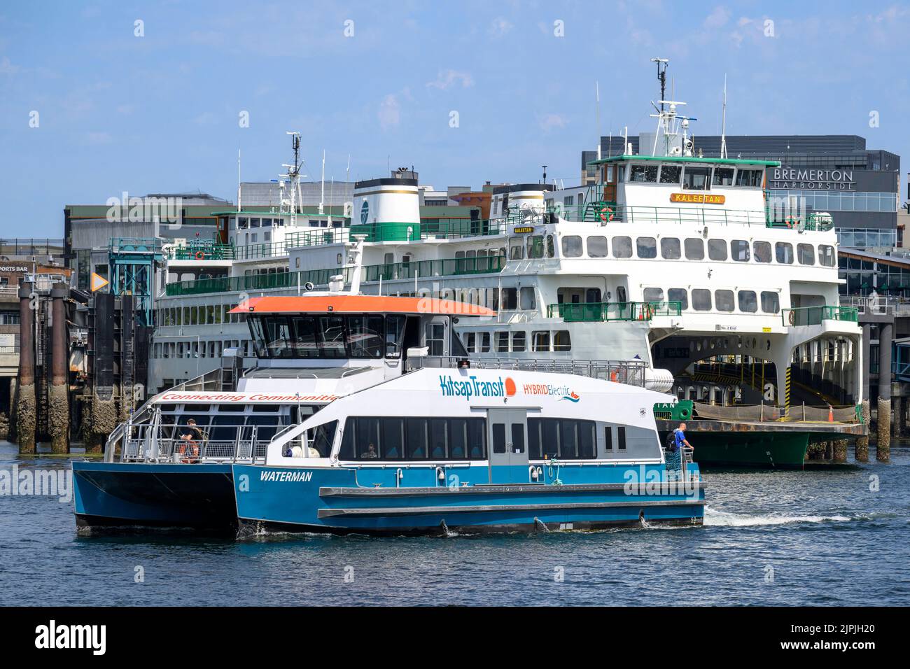 can we take dogs on bremerton ferry