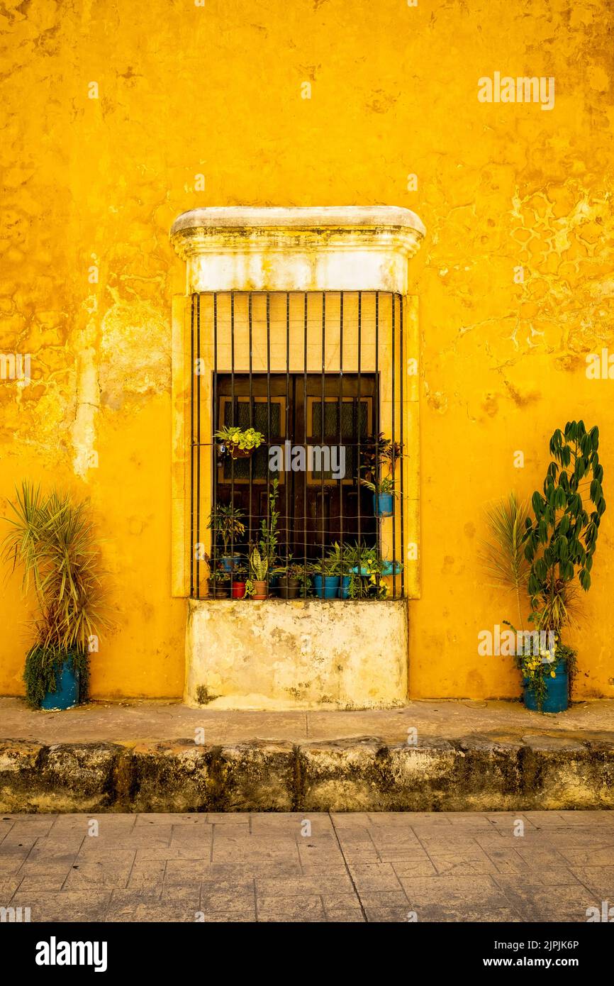 Typical old yellow house at the magical town of Izamal in Yucatan Stock Photo