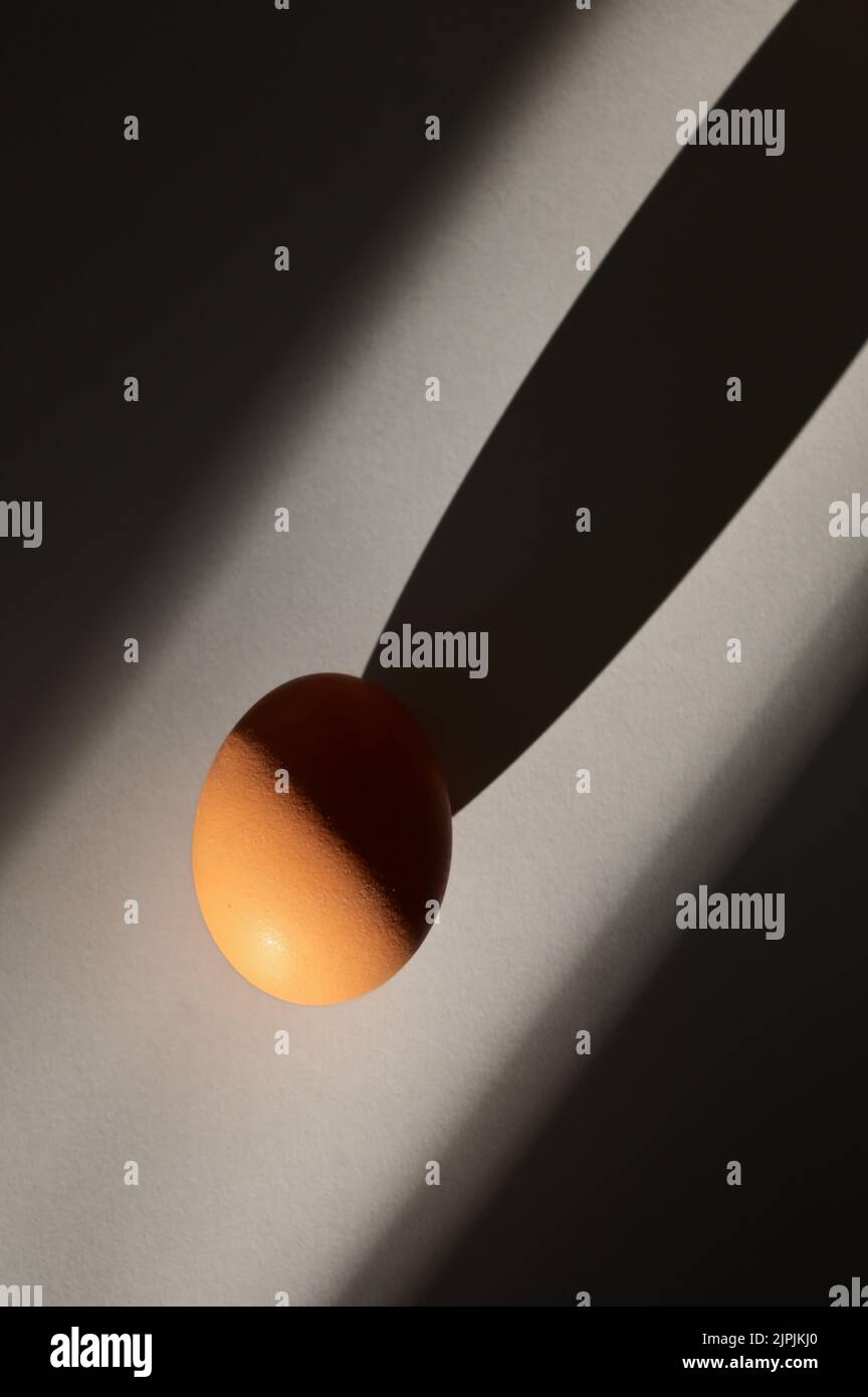 chicken egg, shadow, light & shadow, chicken eggs, shadows, light ...