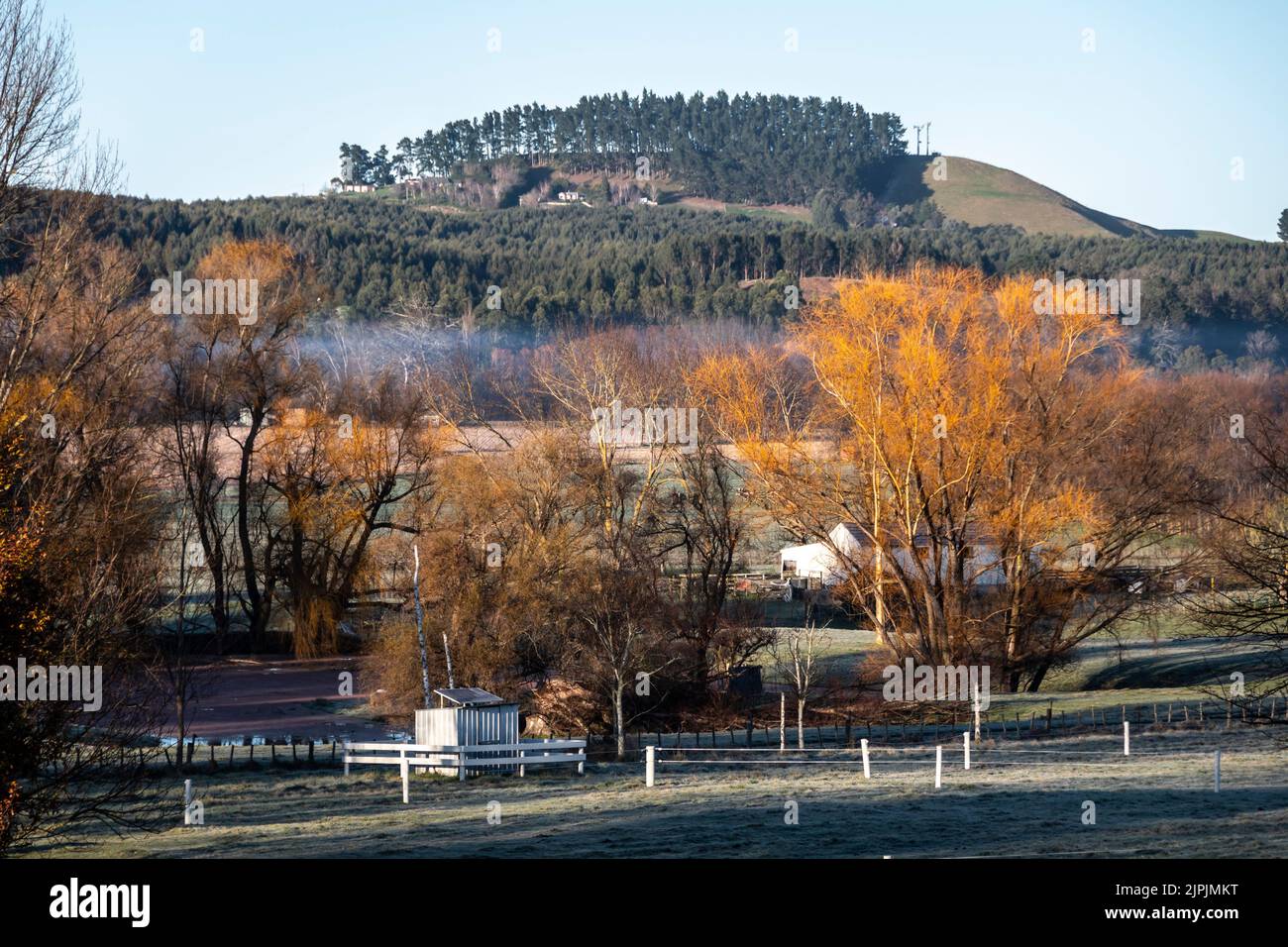 Autumn trees and farm buildings, Waipawa, Hawkes Bay, North Island, New