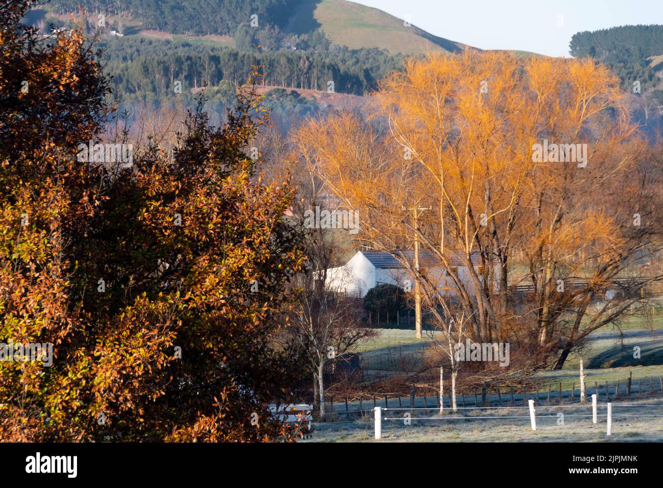 Autumn trees and farm buildings, Waipawa, Hawkes Bay, North Island, New