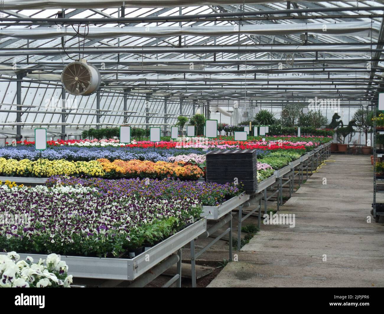 production, greenhouse, gardening, kultivierung, productions